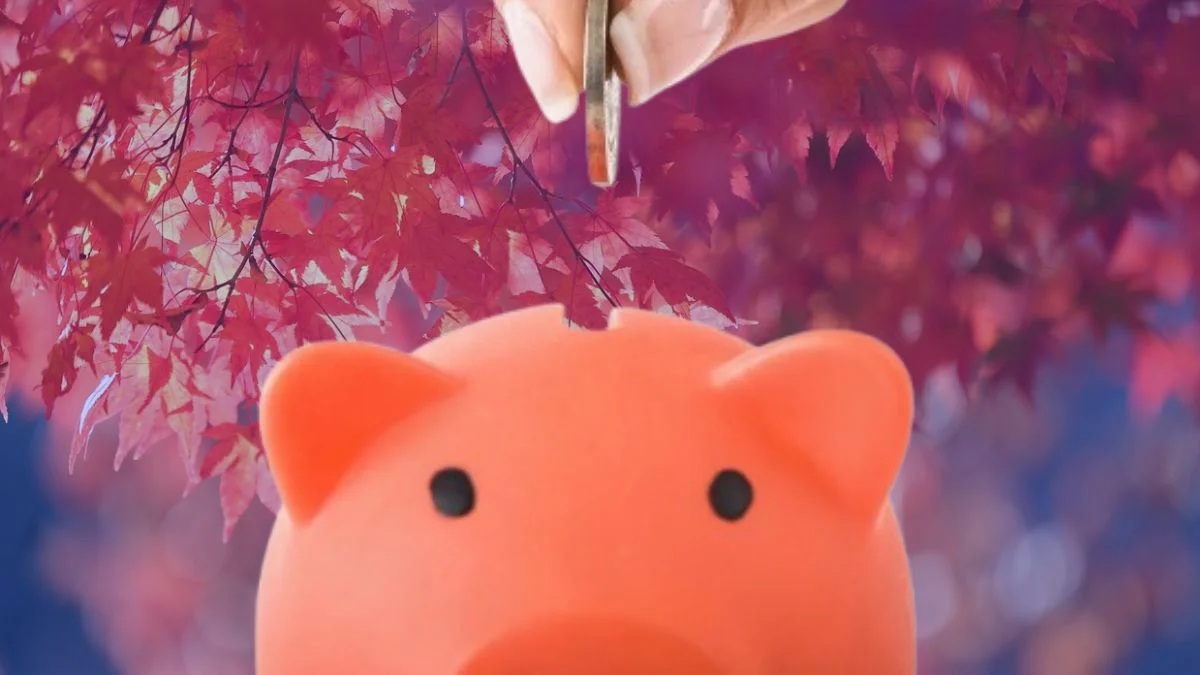 Aprovecha la última oportunidad para conseguir 700 euros antes de que cierre la oferta