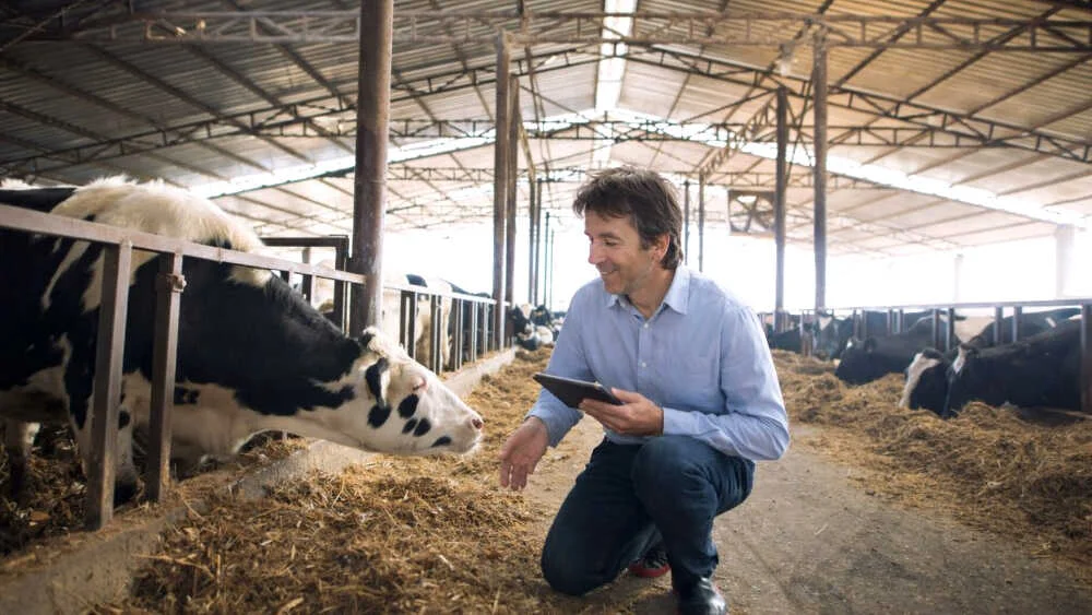 Autónomos senior competirán por 53.000 euros en los Premios +50 Emprende este mes