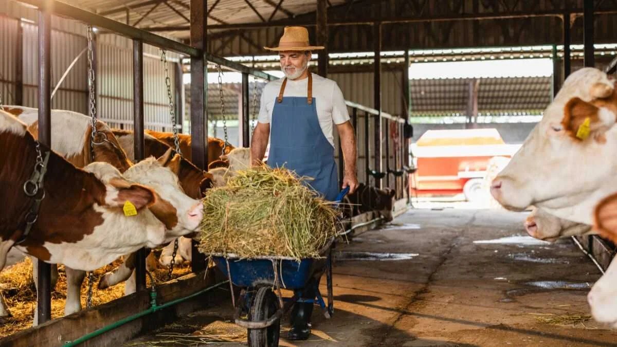Ayudas de 39.500 euros impulsan el crecimiento de negocios rurales autónomos en España