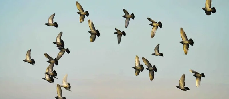 Caser Asesores Financieros refuerza su presencia en el mercado con nuevas incorporaciones en el sur