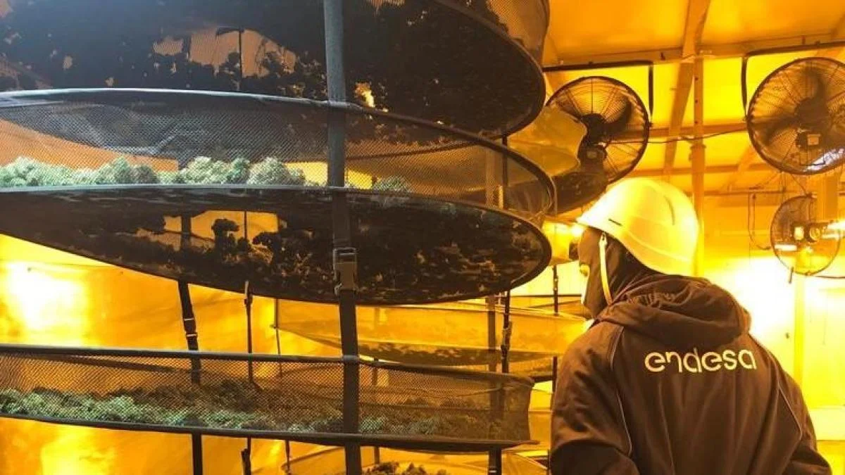 Catalunya enfrenta una ola de fraude eléctrico con un caso cada tres horas