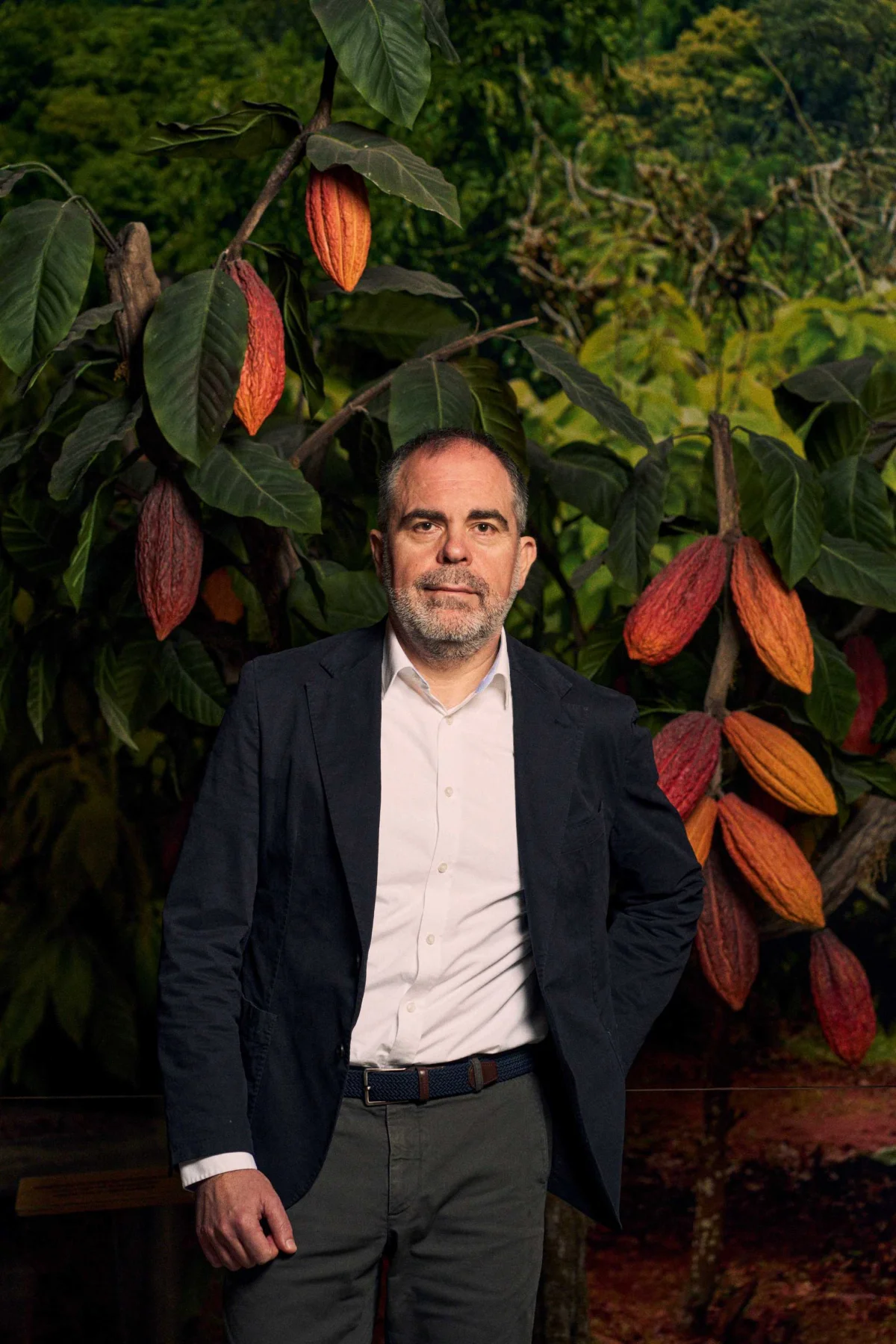 Chocolates Valor lidera el mercado español con una impresionante cuota del 20%