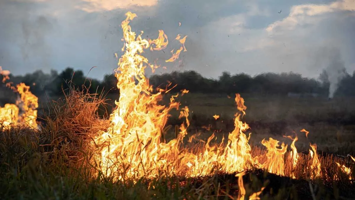Cientos de autónomos y pymes de Madrid podrán acceder a ayudas tras incendios devastadores
