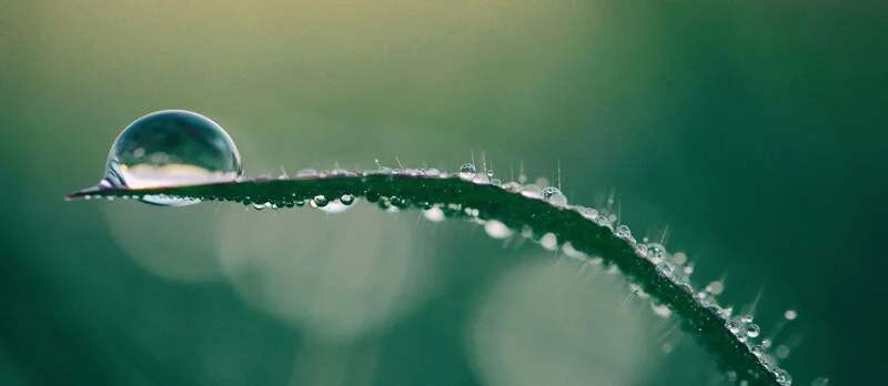 Creas Impacto II alcanza los 56 millones: un impulso para el capital sostenible en España