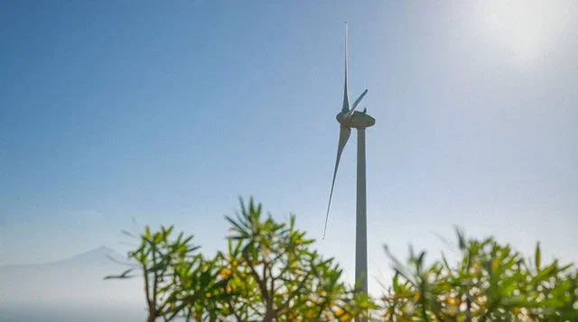 Ecoener destaca como una inversión clave con un potencial del 26% en el mercado actual