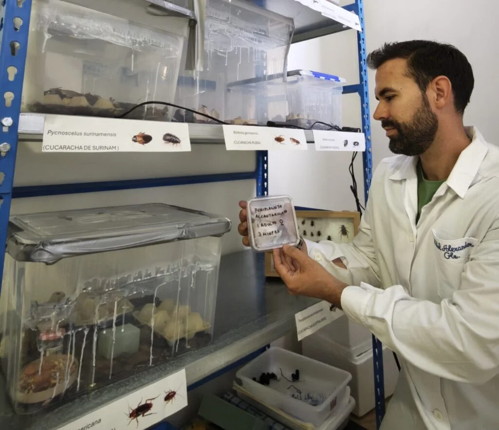 Ecopest Tech Solutions mejora la seguridad alimentaria con biocidas innovadores