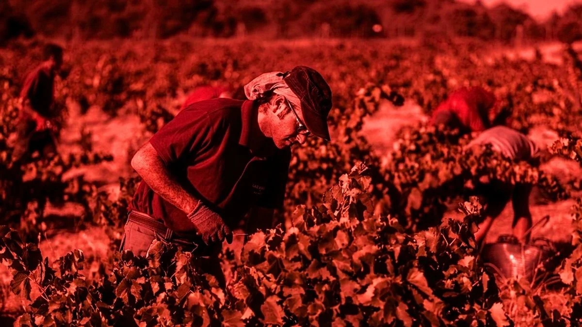 El 99,7% de las muertes laborales en España plantea dudas sobre la seguridad laboral