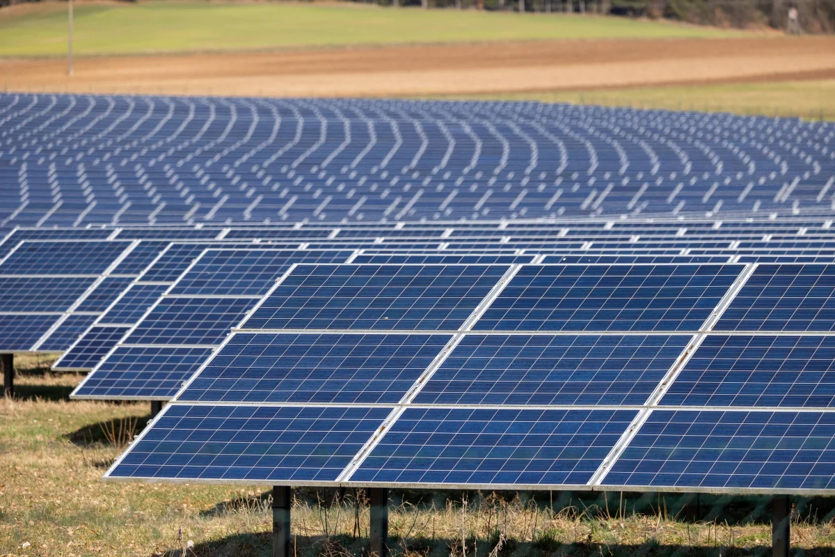 El desperdicio de energía renovable en España alcanza cifras alarmantes este verano