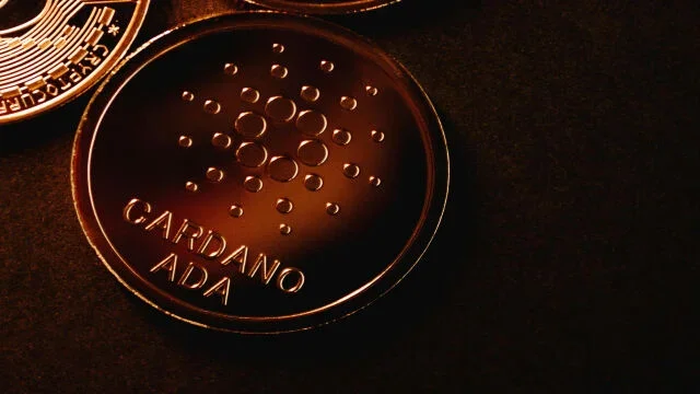 El futuro de Cardano en juego: expertos analizan el uso de sus fondos.