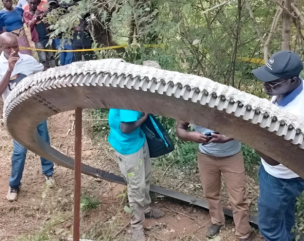 El misterioso anillo de media tonelada en Kenia despierta dudas sobre su origen y peligros potenciales