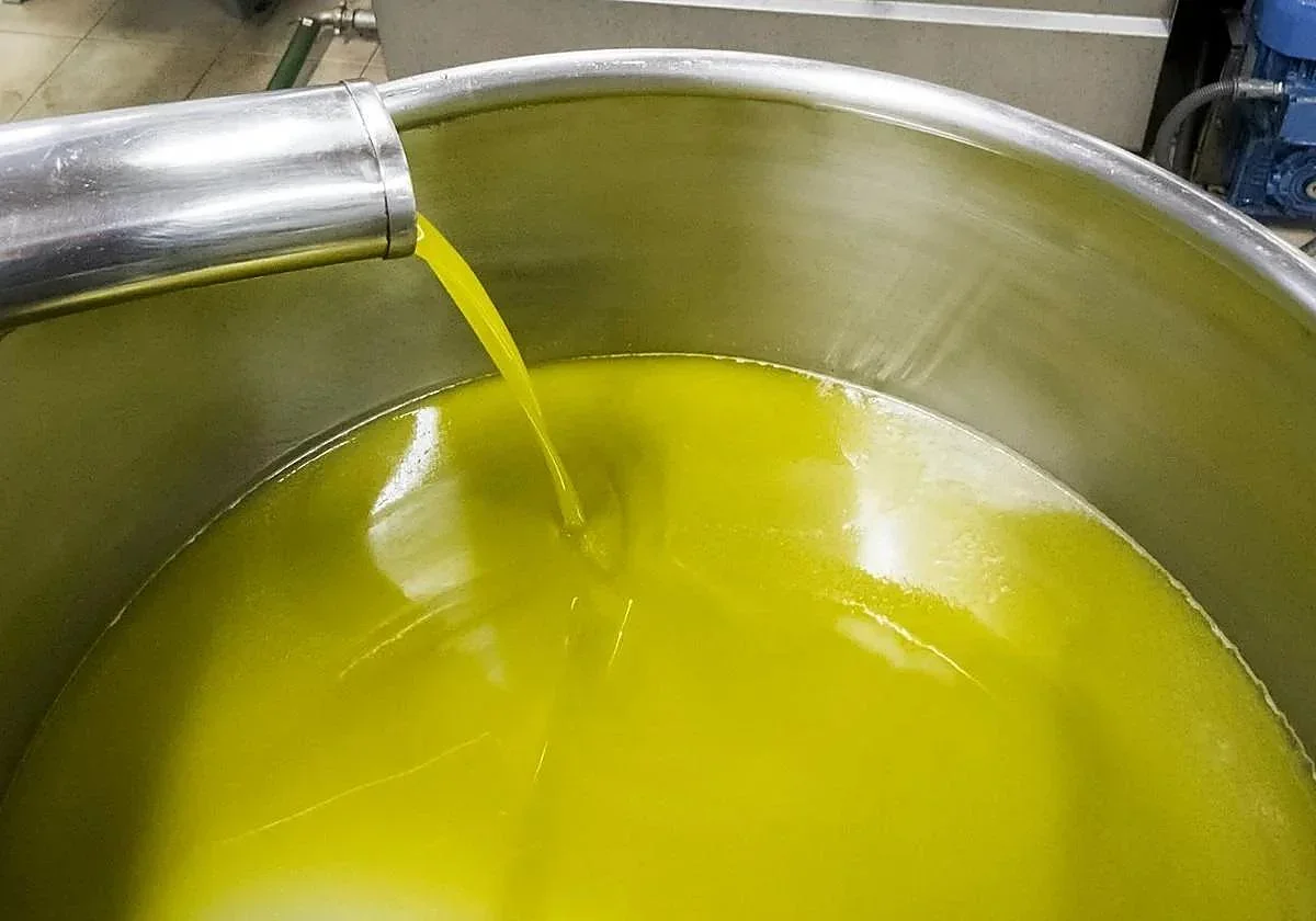 El precio del aceite de oliva podría aumentar en 2024 ante la presión económica del sector