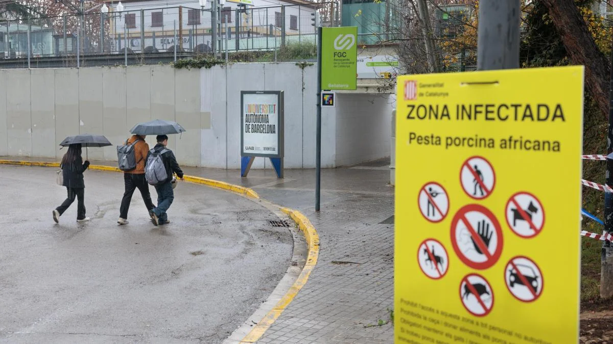 El sector alimentario enfrenta nuevos desafíos: peste porcina y aranceles amenazan su crecimiento