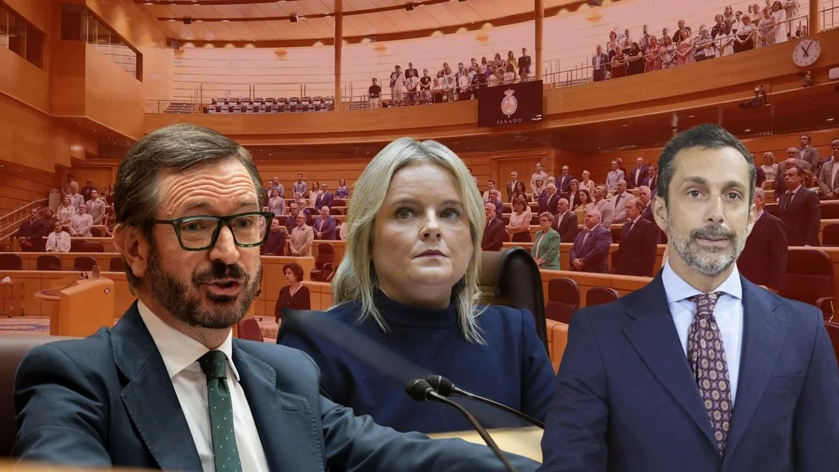 El Senado se llena de polémica: tres nuevos senadores sin conexión local