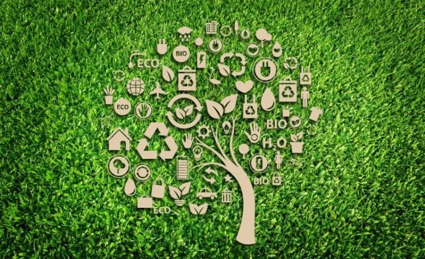 Finanzas sostenibles ganan terreno: empresas buscan rentabilidad a largo plazo