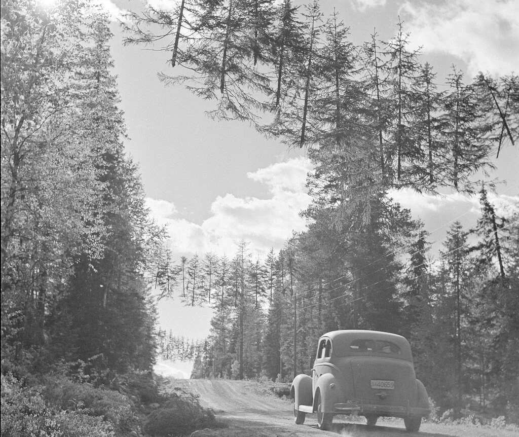 Finlandia transforma su estrategia militar con árboles voladores para proteger carreteras