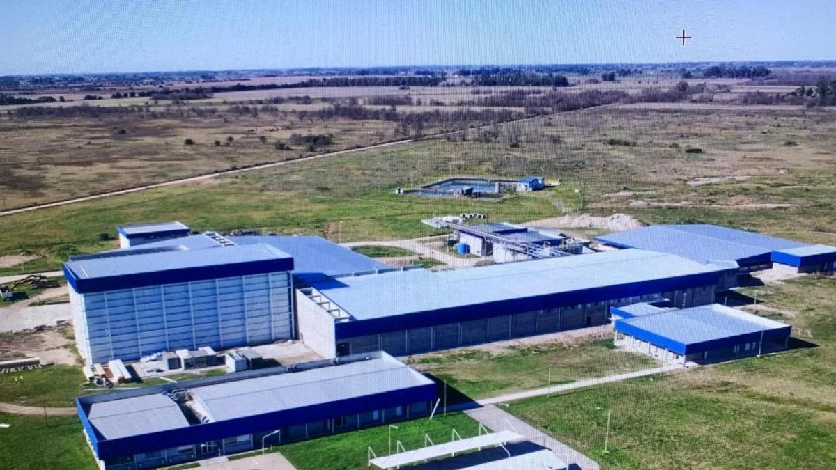 Grupo Vall Companys inyecta 11,9 millones para impulsar Pacuca en Argentina