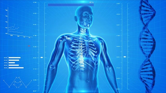 El escáner corporal de Midjourney promete revolucionar la experiencia en spas de lujo