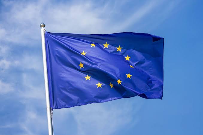 La UE enfrenta críticas por falta de acción efectiva en asuntos clave