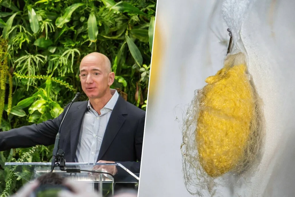 Jeff Bezos inyecta 34 millones en biotecnología textil que podría revolucionar la moda