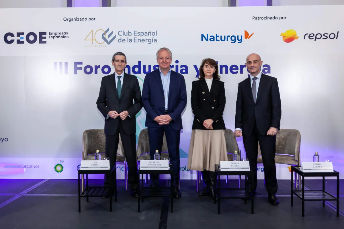 La falta de energía competitiva pone en jaque la descarbonización en España
