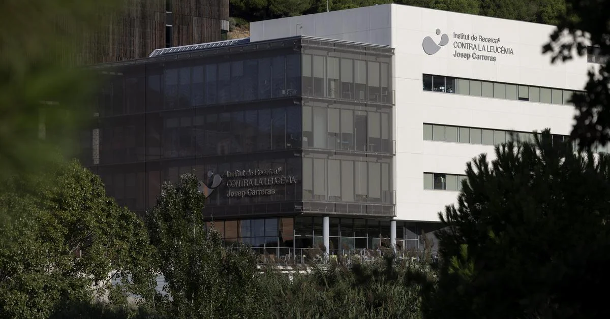 La gestión del IJC durante Esteller bajo la lupa: irregularidades financieras detectadas