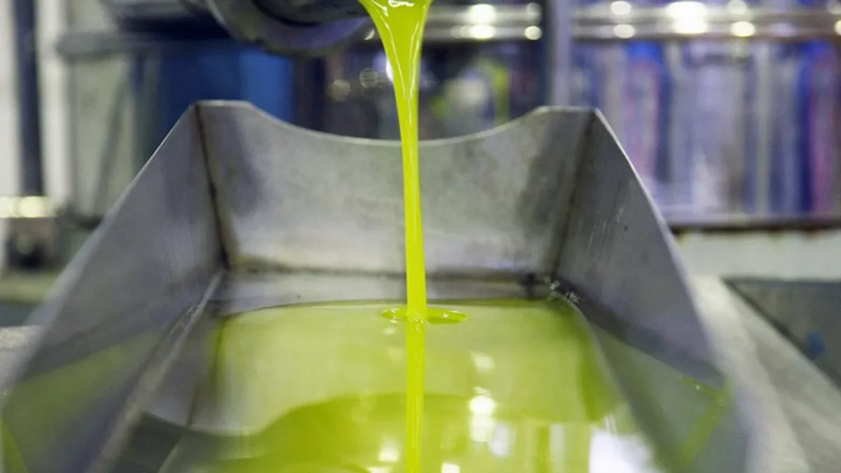 La producción de aceite de oliva en España se dispara, beneficiando a los agricultores con 1,6 millones de toneladas