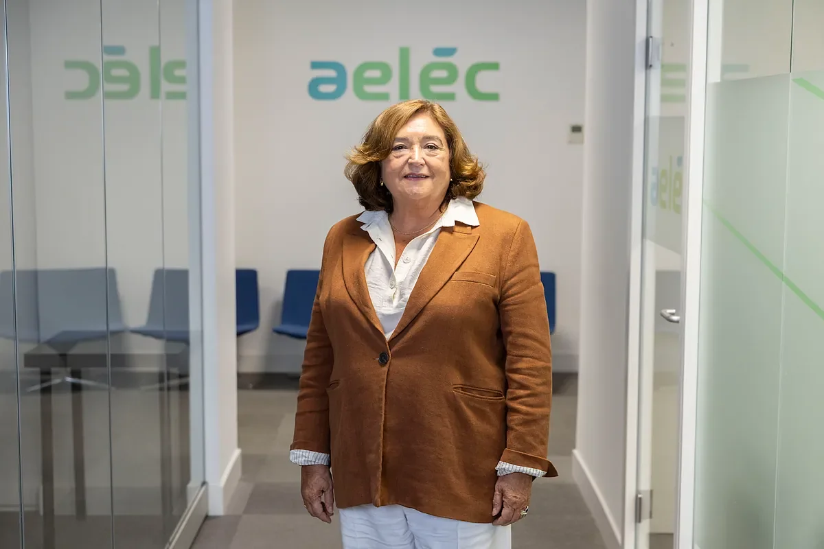 La producción eléctrica nacional se ve amenazada por la política fiscal del Gobierno