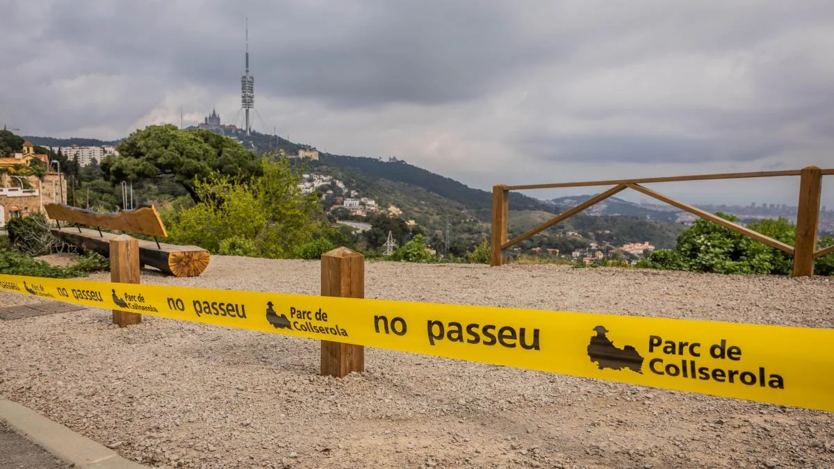 La reapertura de Collserola genera presión sobre la industria alimentaria para mantener restricciones por peste porcina