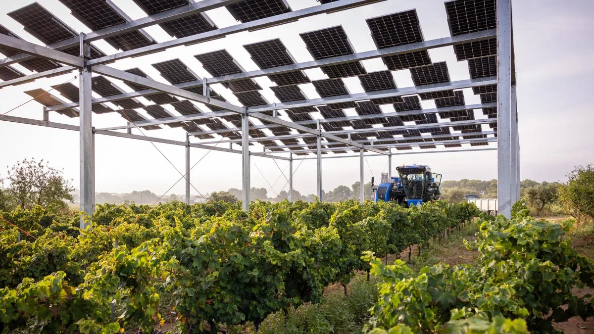 La sinergia entre la agricultura y la energía solar podría revolucionar el sector agrícola