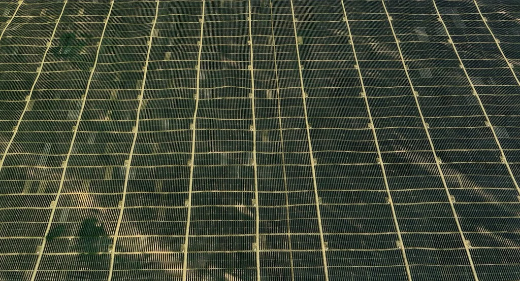 La transformación ecológica de China: siete millones de paneles solares reverdecen desierto