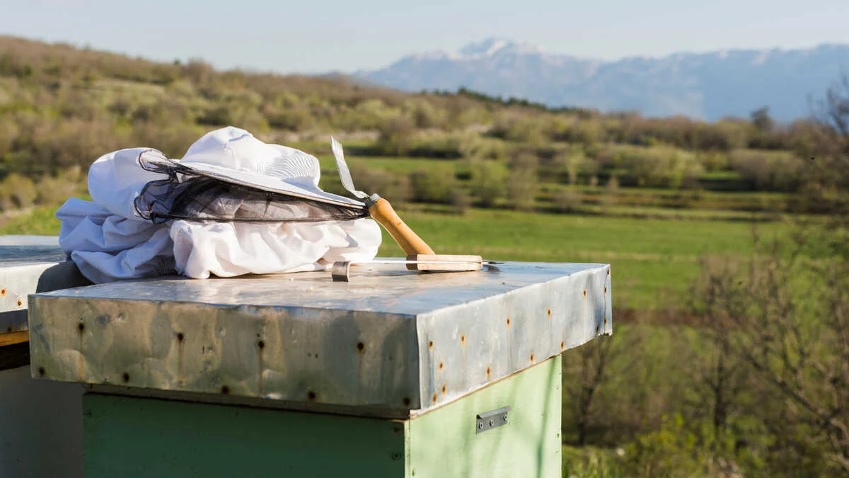 Las ayudas por el temporal excluyen a muchas pymes del campo extremeño, advierten empresarios
