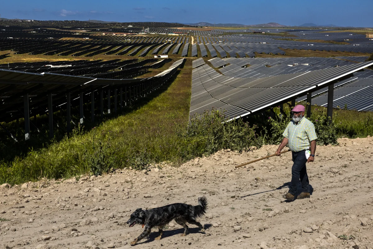 Las empresas fotovoltaicas alertan sobre un colapso inminente sin apoyo financiero urgente
