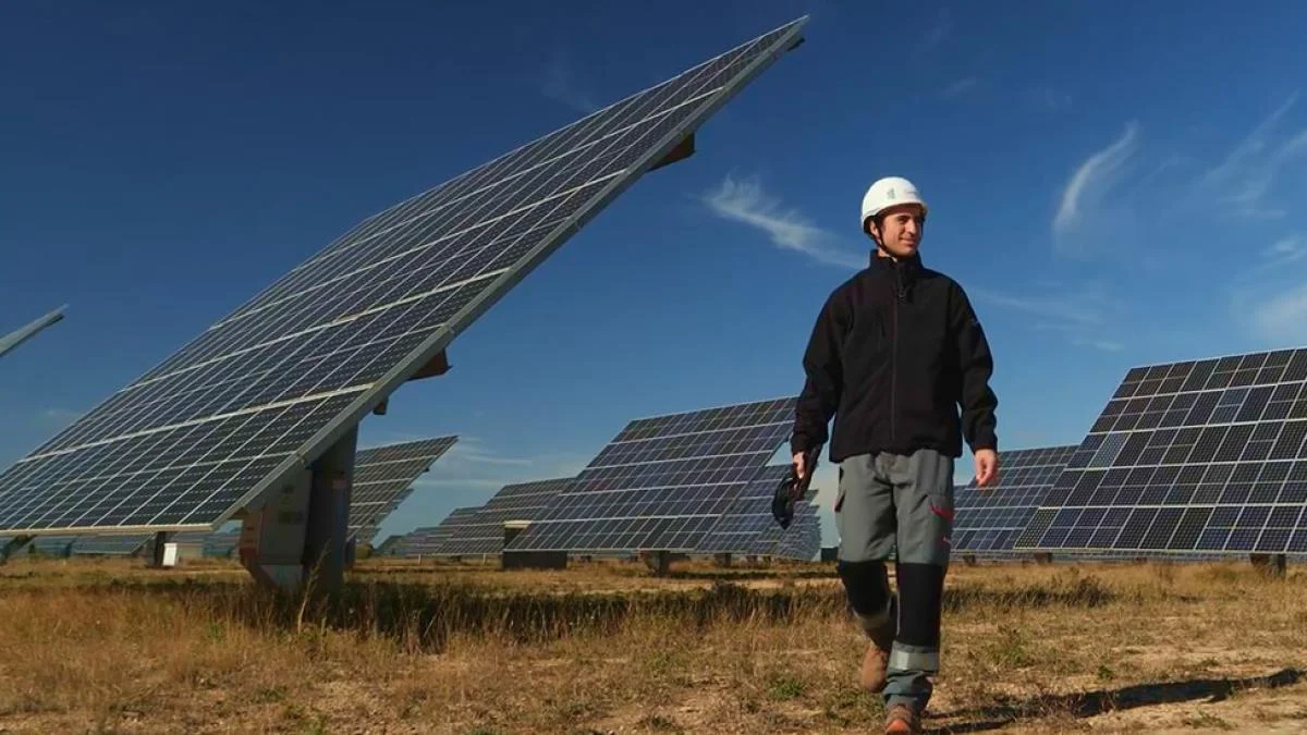 Las empresas que integran sostenibilidad en sus finanzas ven crecer su rentabilidad