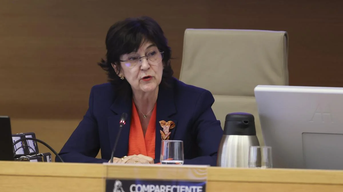 Las energías renovables enfrentan sanciones tras el apagón que afectó a miles de hogares