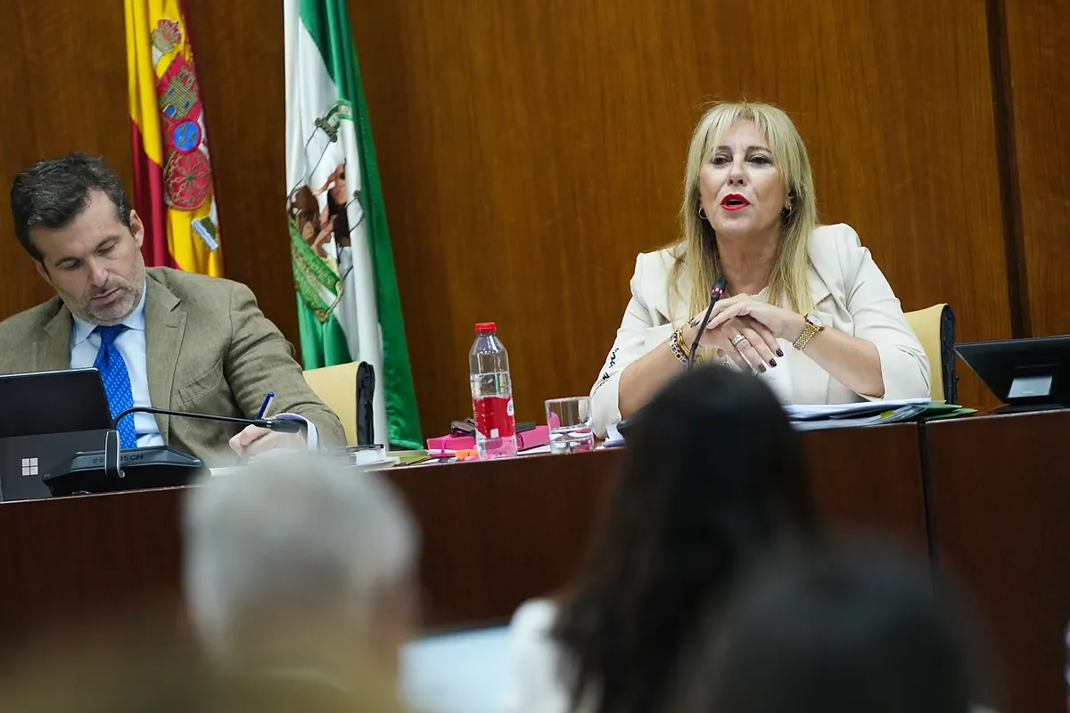 Las nuevas rebajas fiscales en vivienda del Gobierno andaluz beneficiarán a miles de ciudadanos en 2027