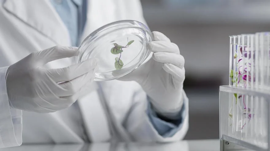 Las startups de salud atraen inversiones millonarias al unir fuerzas con las finanzas