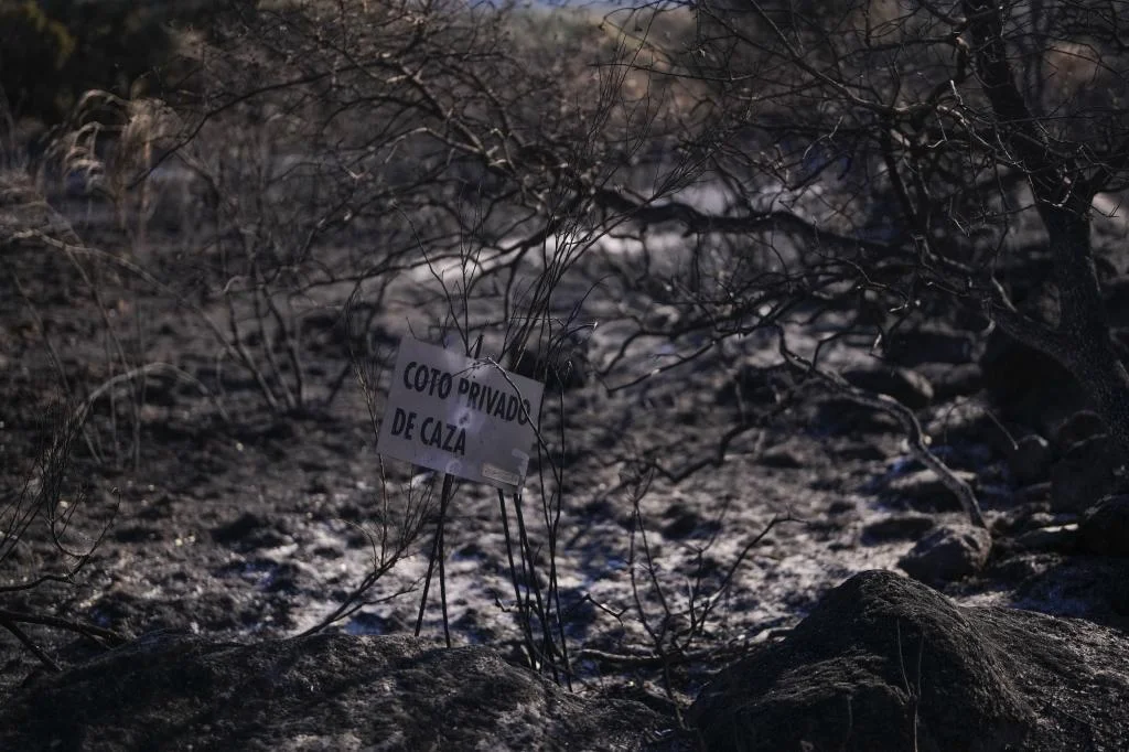 Los afectados por incendios pueden reclamar indemnizaciones a aseguradoras con estos pasos