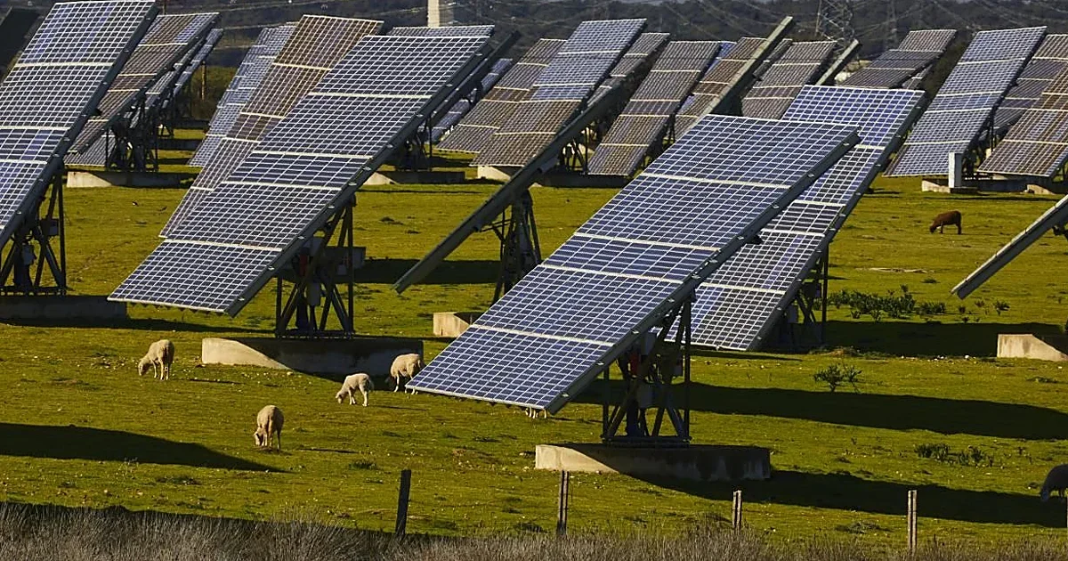 Los agricultores alertan sobre el desperdicio de energía renovable en el campo español