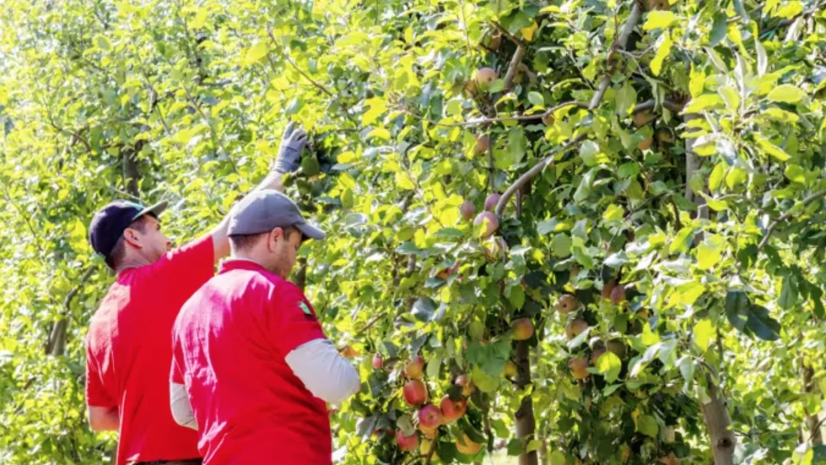 Los agricultores alertan sobre el impacto de la especulación en sus costes operativos