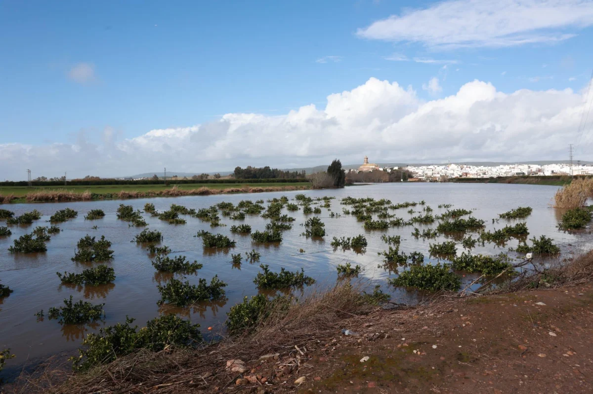 Los agricultores andaluces se benefician de ayudas fiscales tras las borrascas recientes