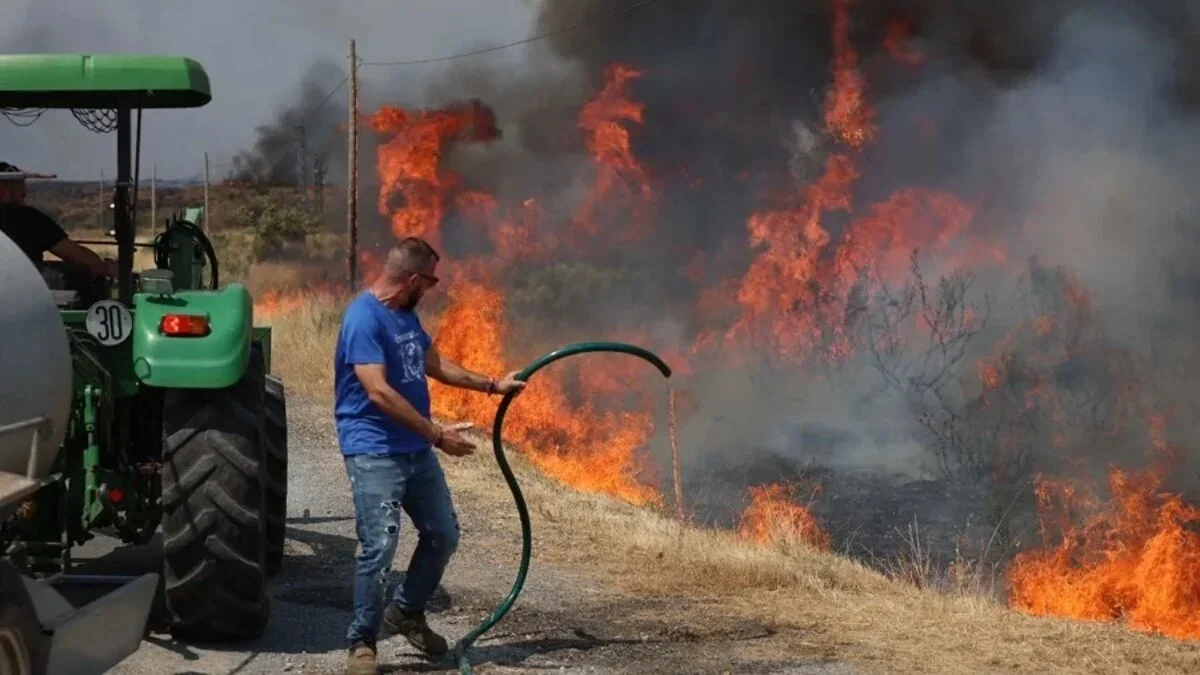 Los agricultores en Castilla y León enfrentan un plazo crítico para compensaciones por incendios