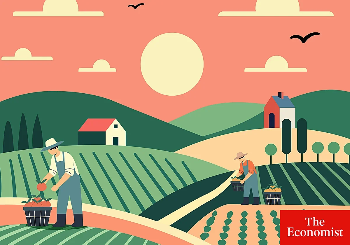 Los agricultores estadounidenses, a pesar de las dificultades, mantienen su apoyo a Trump