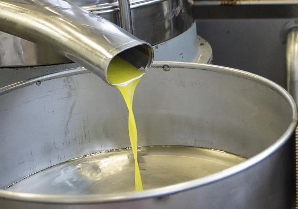 Los altos precios del aceite de oliva amenazan la rentabilidad de los productores en 2027