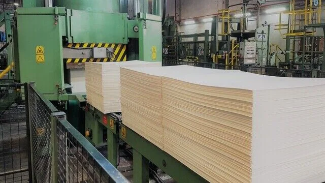Los analistas destacan un potencial de 600 millones en energías renovables por la celulosa