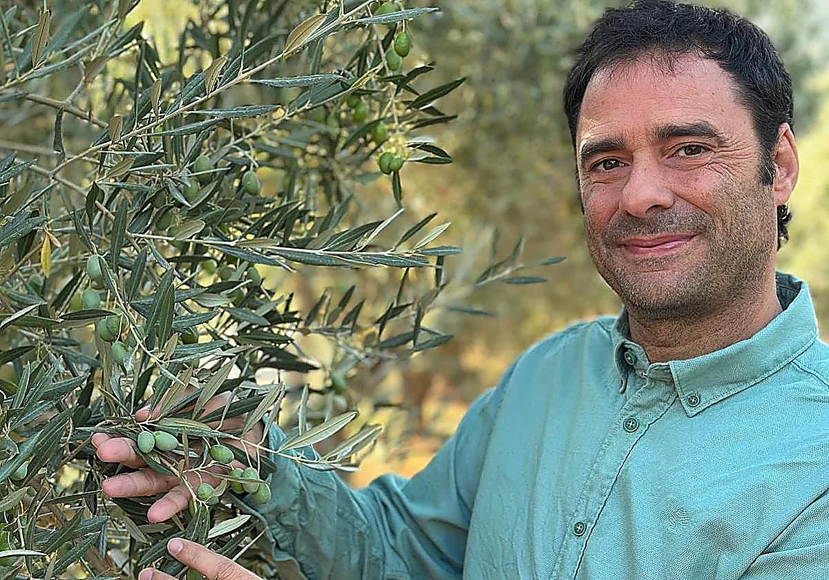 Los consumidores de aceite enfrentan un aumento inminente en los precios, advierte CEO de almazara