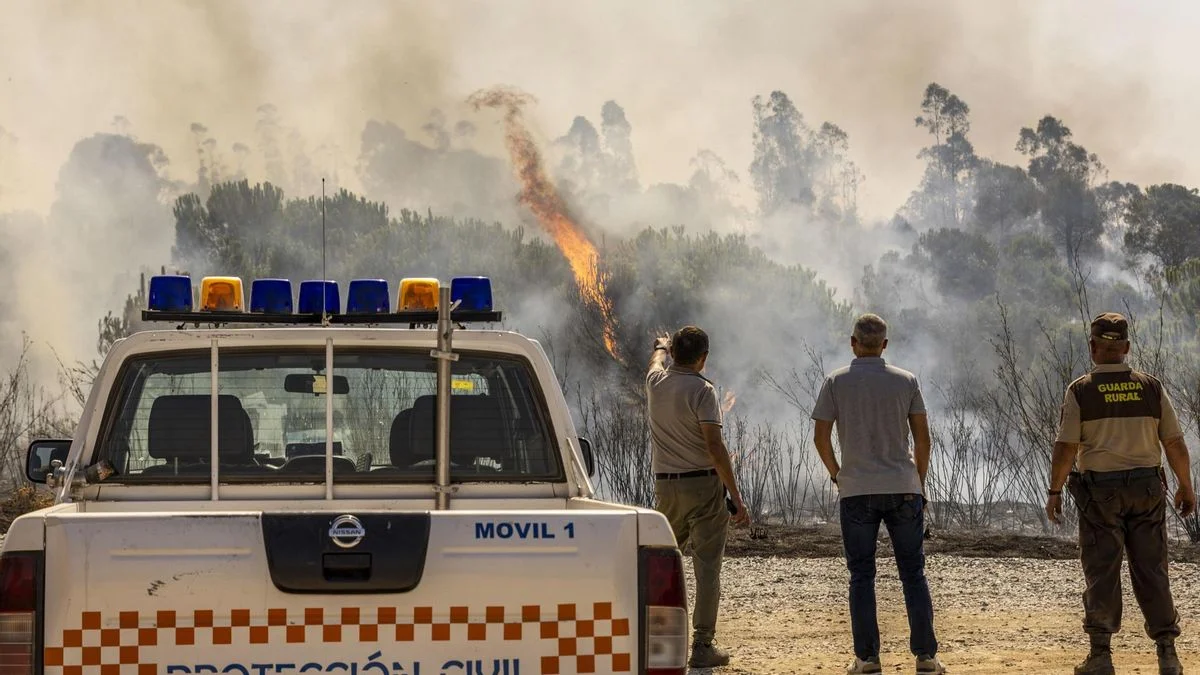 Los incendios forestales en España alcanzan cifras históricas en el último año