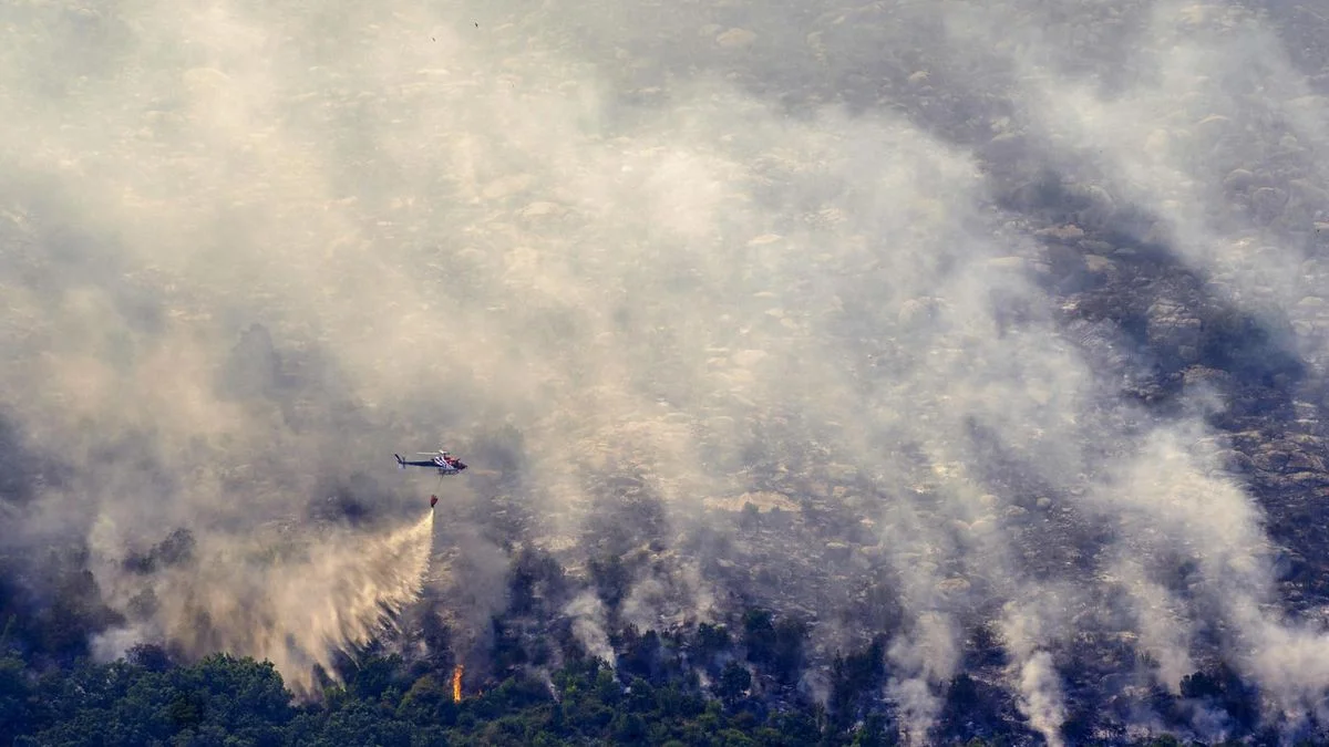 Los incendios récord aumentan un 40% por el impacto del cambio climático en el clima