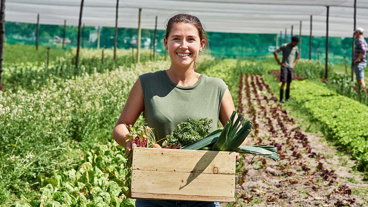 Los jóvenes agricultores recibirán tierras del Gobierno para impulsar sus iniciativas agrarias.