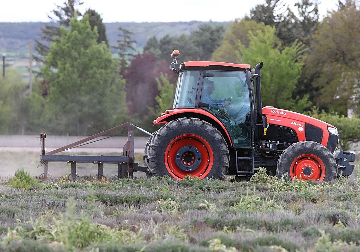 Más de 200.000 autónomos excluidos de incentivos fiscales tras subida del salario mínimo