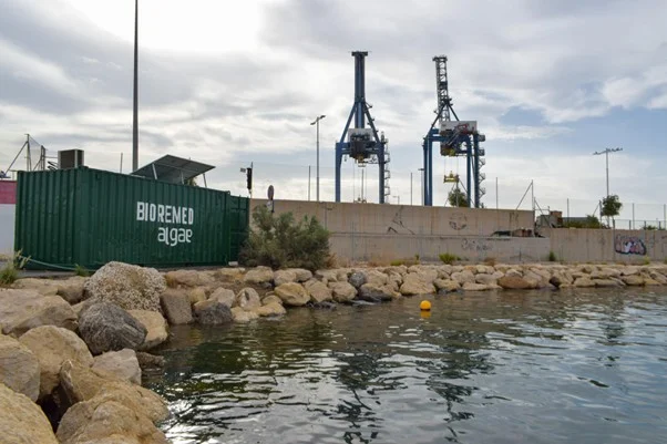 Mediterranean Algae impulsa su desarrollo con 2 millones del CDTI para innovación sostenible